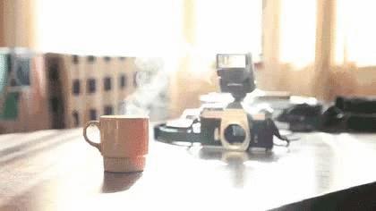 babybean親豆丨爆款上线！优越的品质，亲民的价格