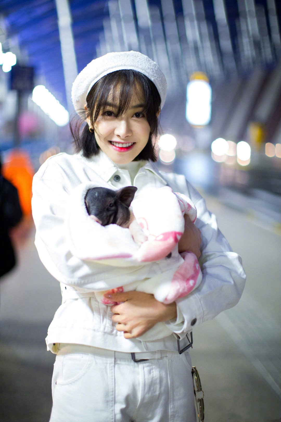 狗生巅峰！陈伟霆家狗狗被抱着睡住湖景豪宅，宋茜家宠物猪更时髦