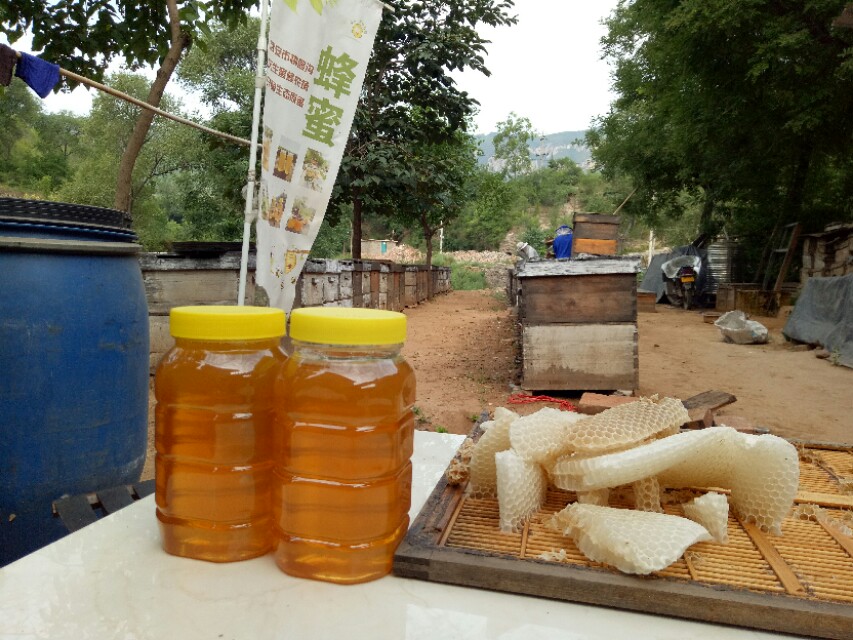 网络上很多辨别真假蜂蜜的方法，真的靠谱吗？