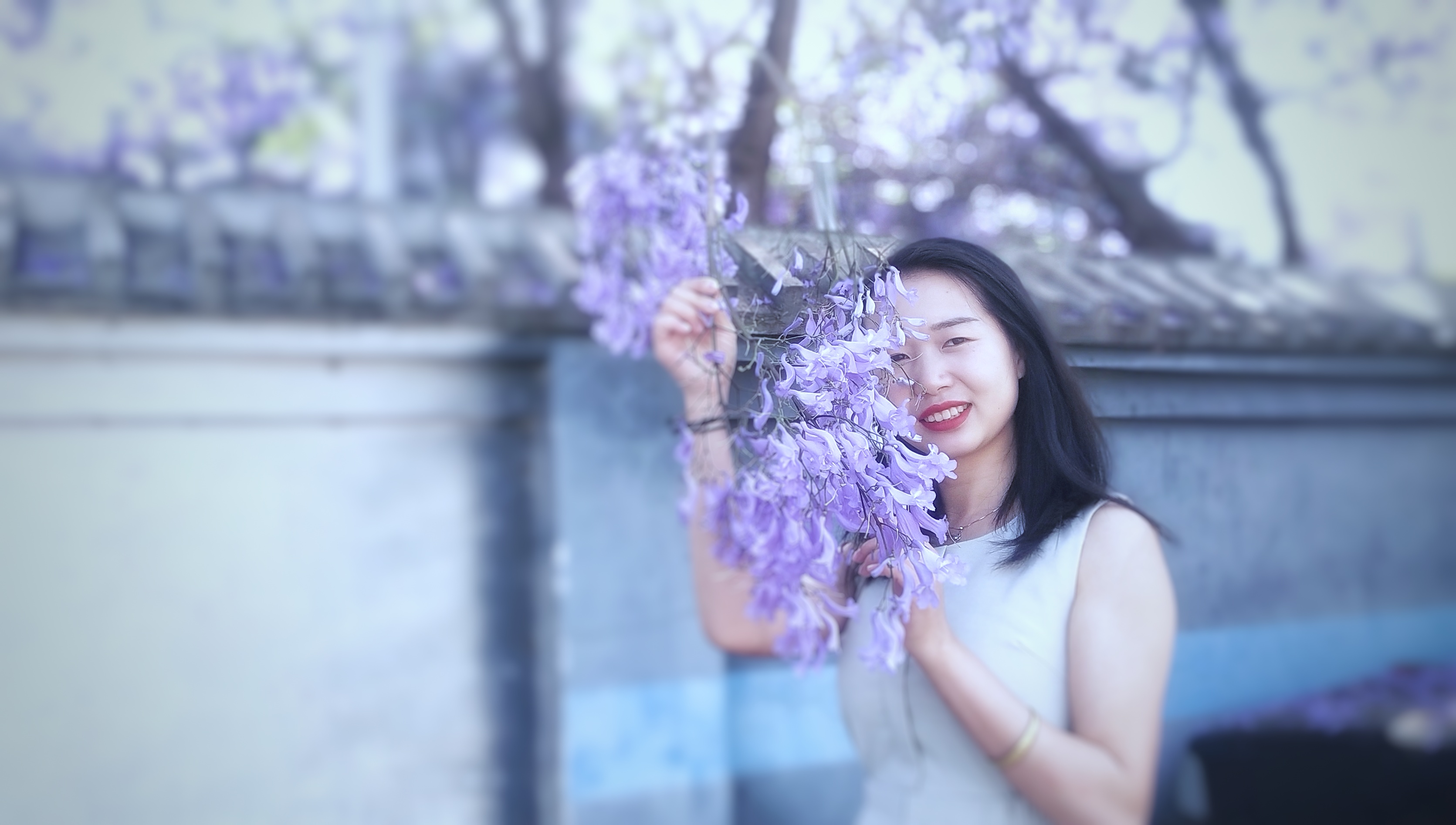 日慕蓝花楹，夜宿花香里