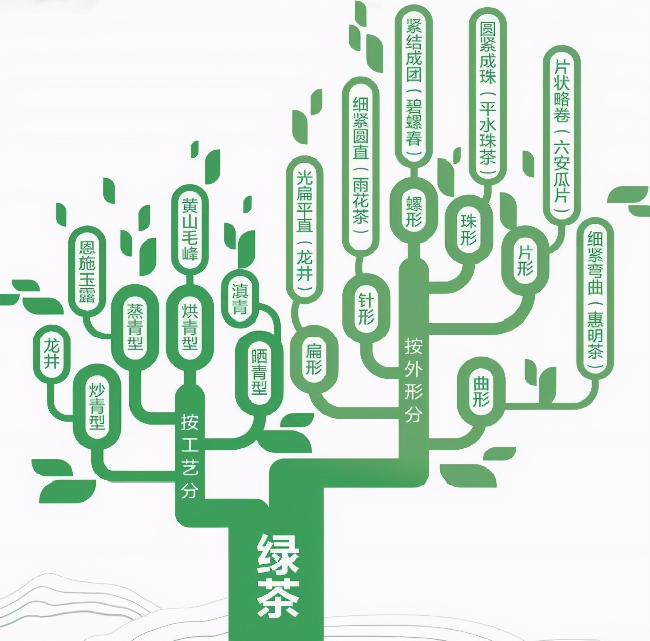 炎炎夏日喝点什么茶好,夏日暑湿喝什么茶最好养生