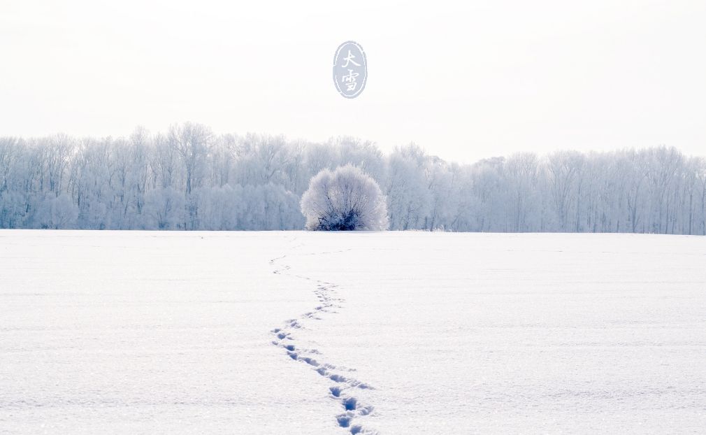 诗词里的二十四节气之大雪,描写节气大雪的诗词