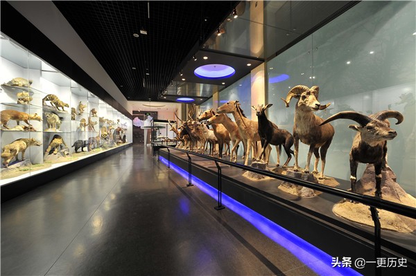 南京博物院十八件镇馆之宝,南京博物馆镇馆金缕玉衣