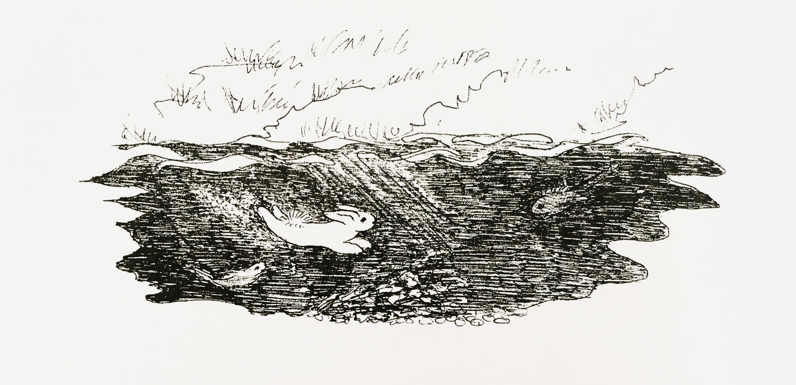 17张一只铅笔就搞定的黑白插画，画风简单，100年来却让人着迷