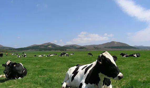 正本清源1992,正本清源1984