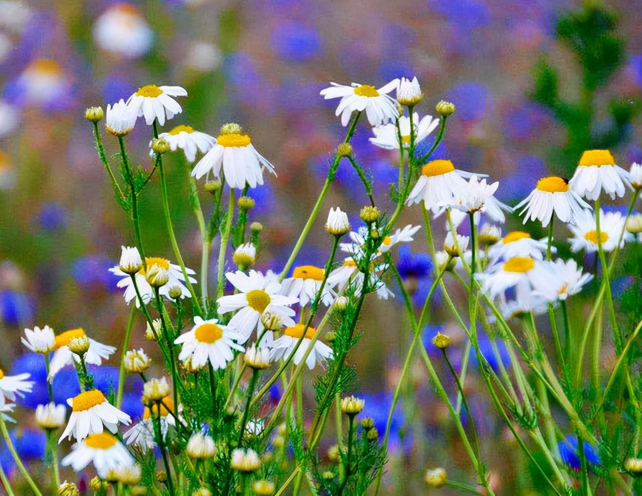 遭遇背叛后你最应该做的事,假如遇到背叛你要怎样处理