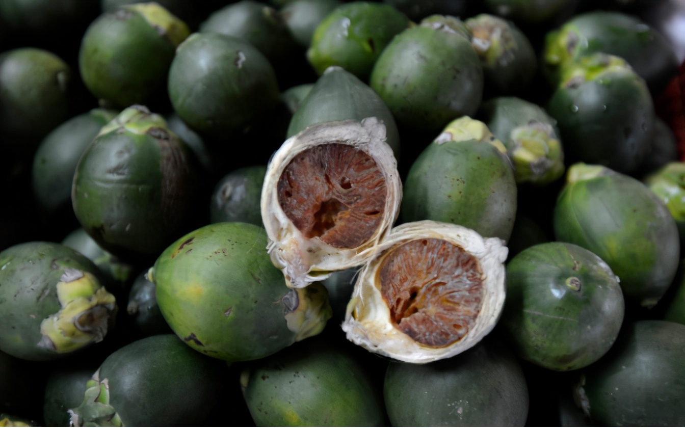 揭秘槟榔如何快速毁掉你的健康,从医学角度来说槟榔的坏处