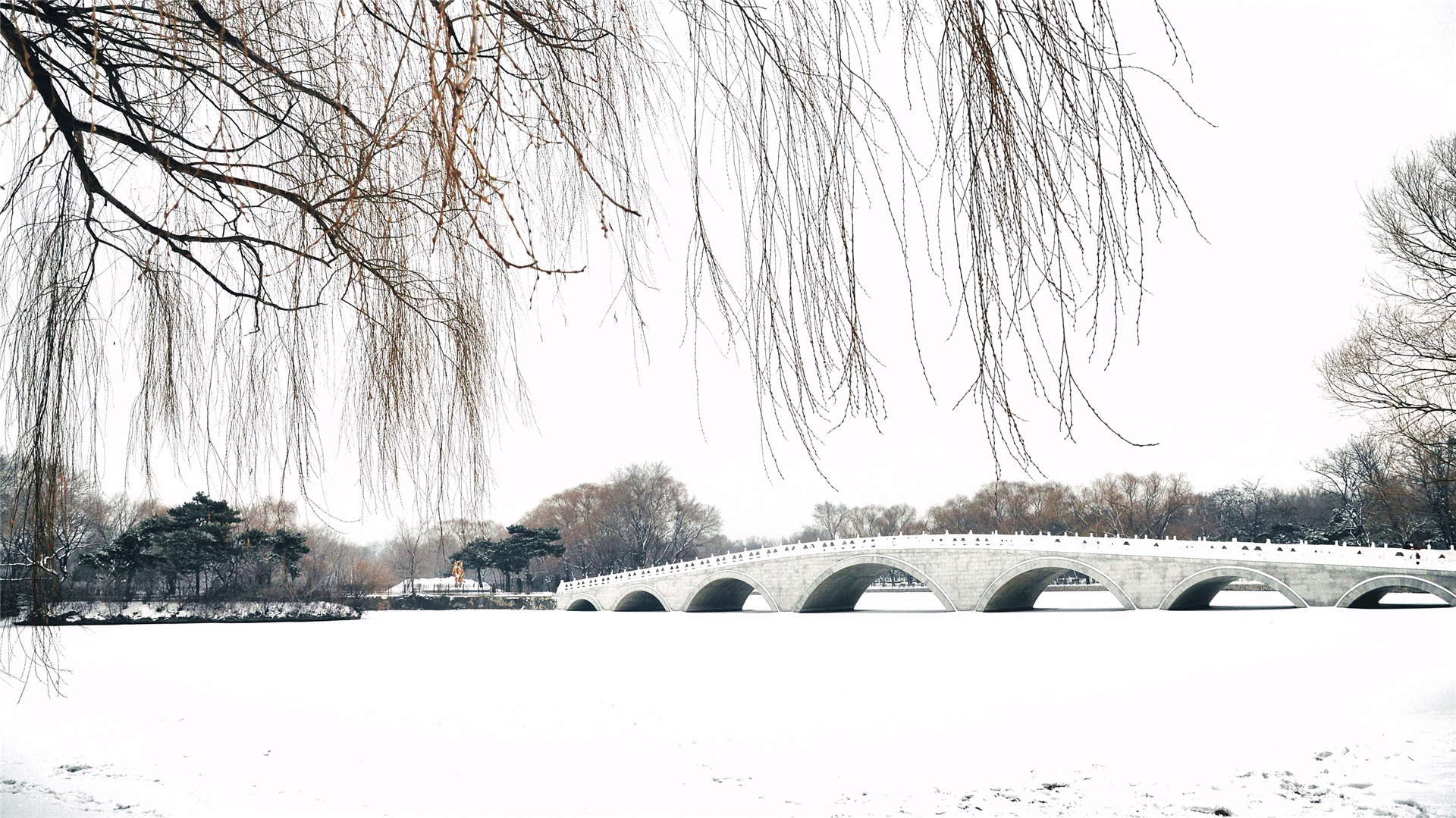 未来几年沈阳是中国最宜居城市,沈阳未来的热点城市