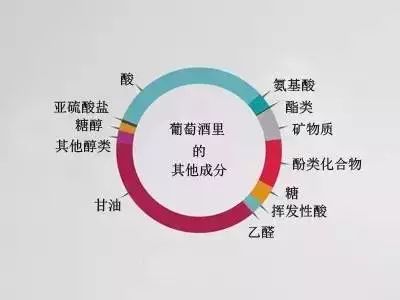 哪个品种的葡萄酿的酒好喝,葡萄酒加什么好喝