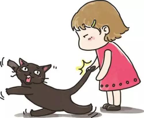 猫咪犯错也不能打这3个地方,无论你有多生气都不要打你家的猫