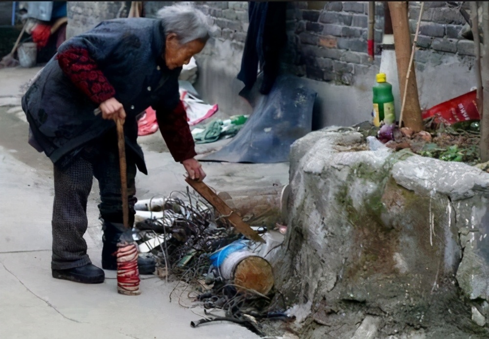 散文落叶片段,散文落叶歌曲