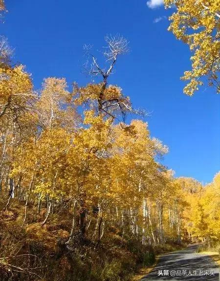 最新世界十大“怪”,最后一个太绝了!