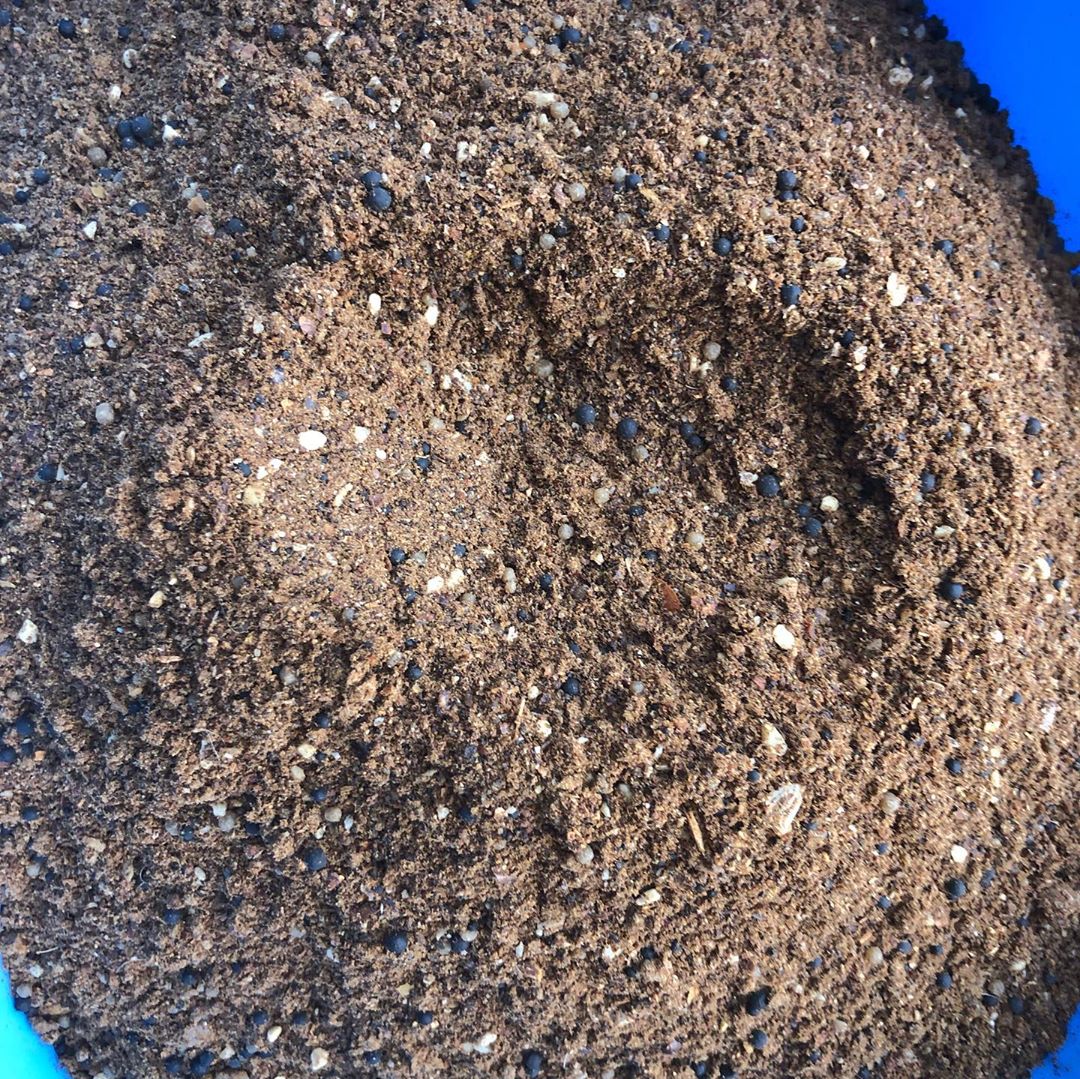 日本青森苹果图片,走进青森苹果园