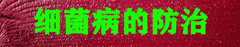 养蚕蚕虫病怎么治,养蚕病害