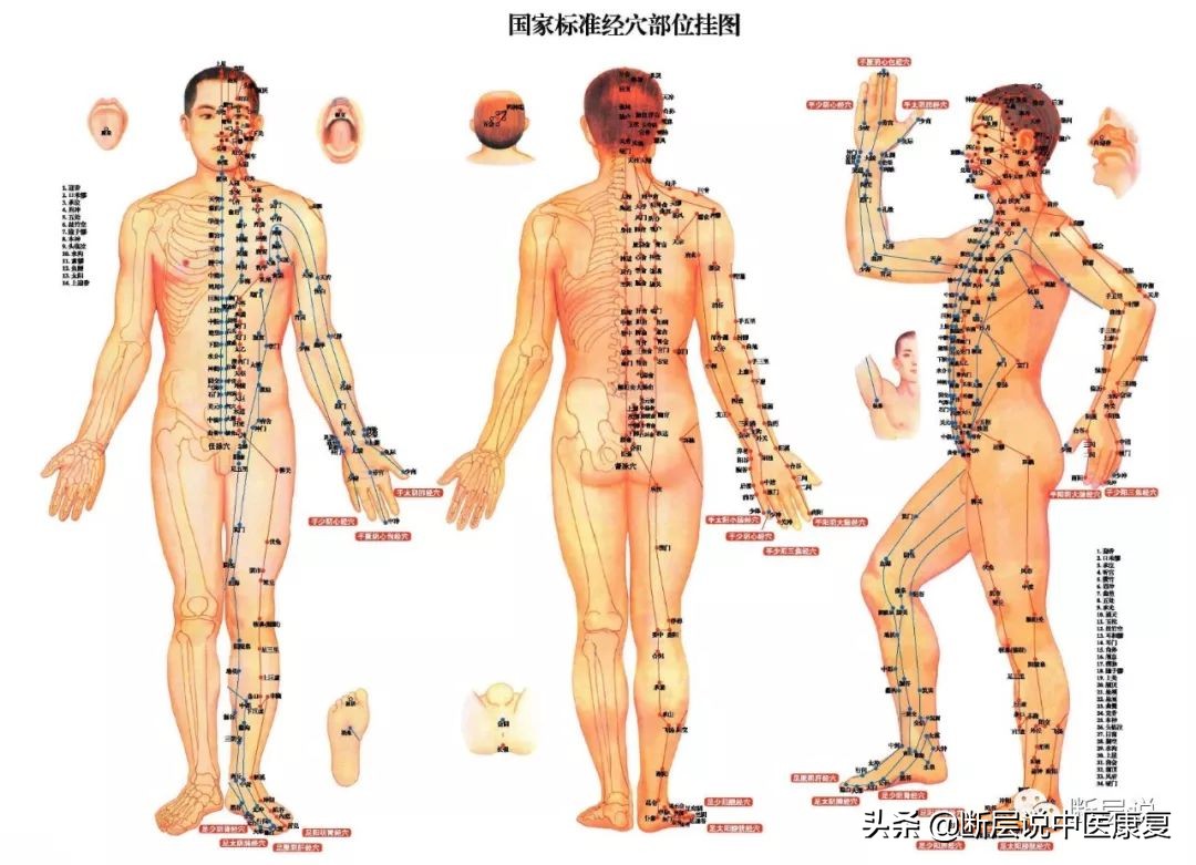 女性盆底健康问题，针刺要扎三阴交，手法要选内收肌