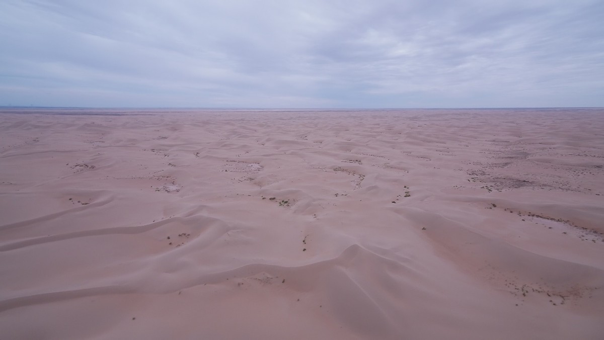 圣牧有机奶的优缺点,圣牧有机奶渠道分析
