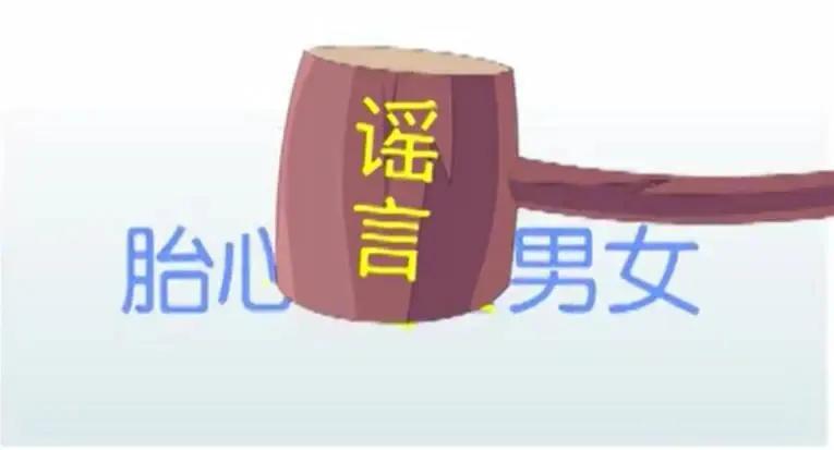 孕早期胎心率一般是多少到多少,看胎心率辨别胎儿有科学依据吗