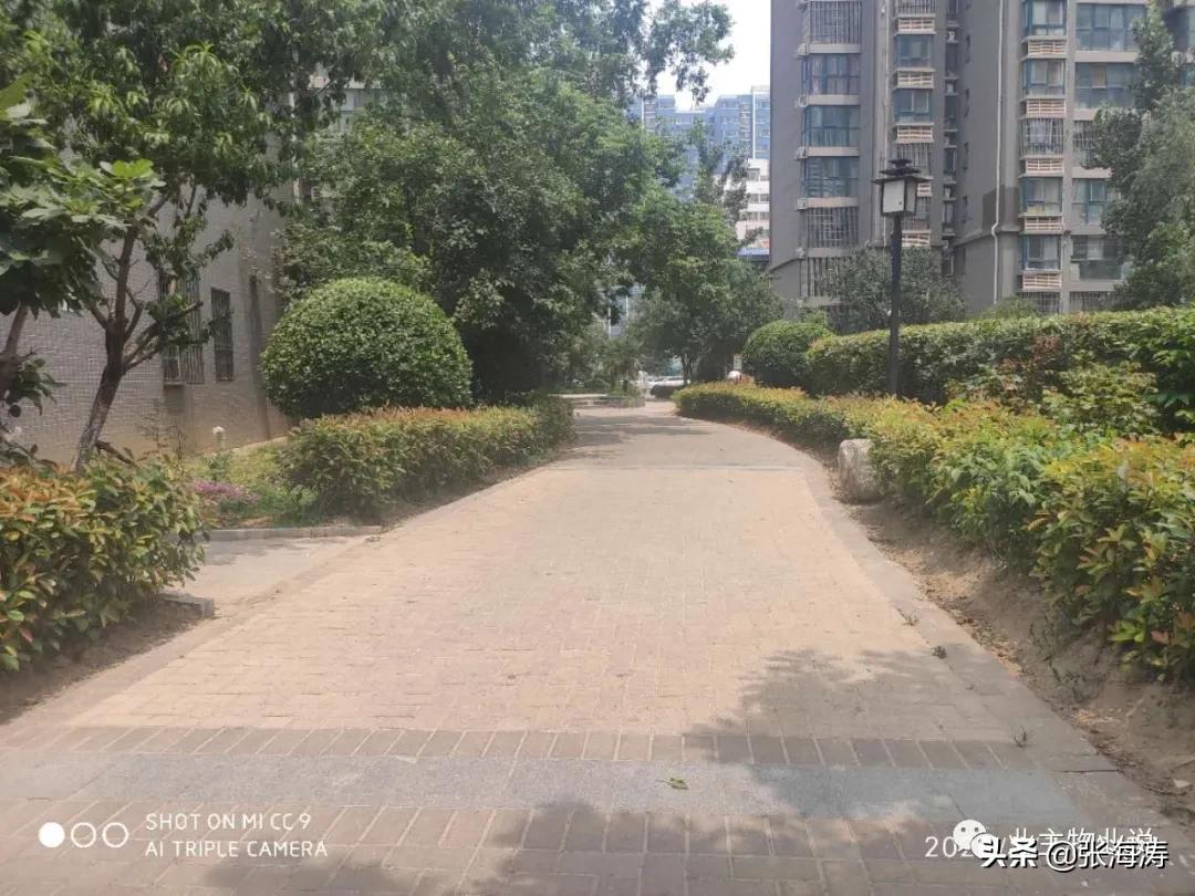 赞!旧貌换新颜,只因小区有了业主大会