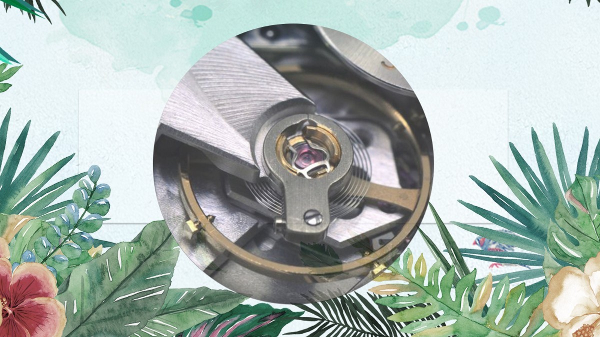 高端腕表成本8000,名表螺丝