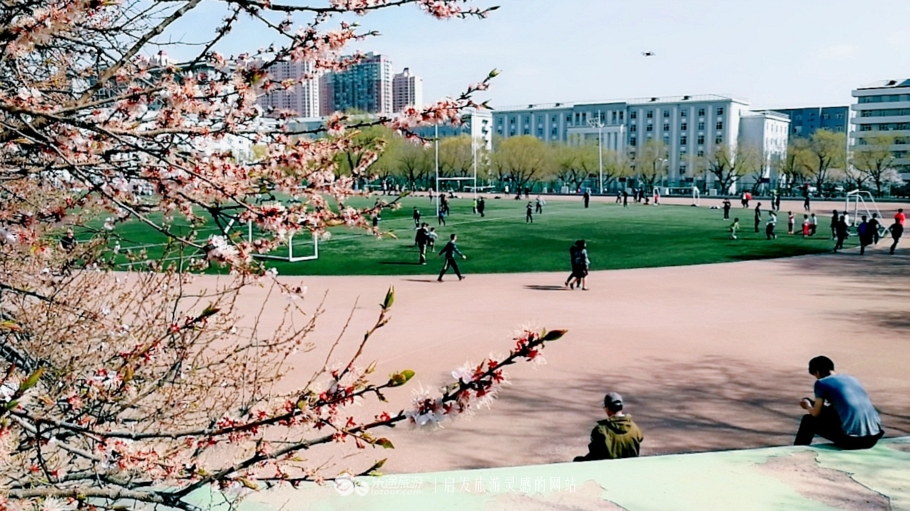 丁香雨女声版,丁香鱼喻越越