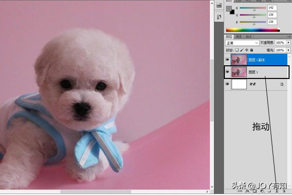 photoshop如何快速复制图层,ps基础教程新手入门怎样复制图层