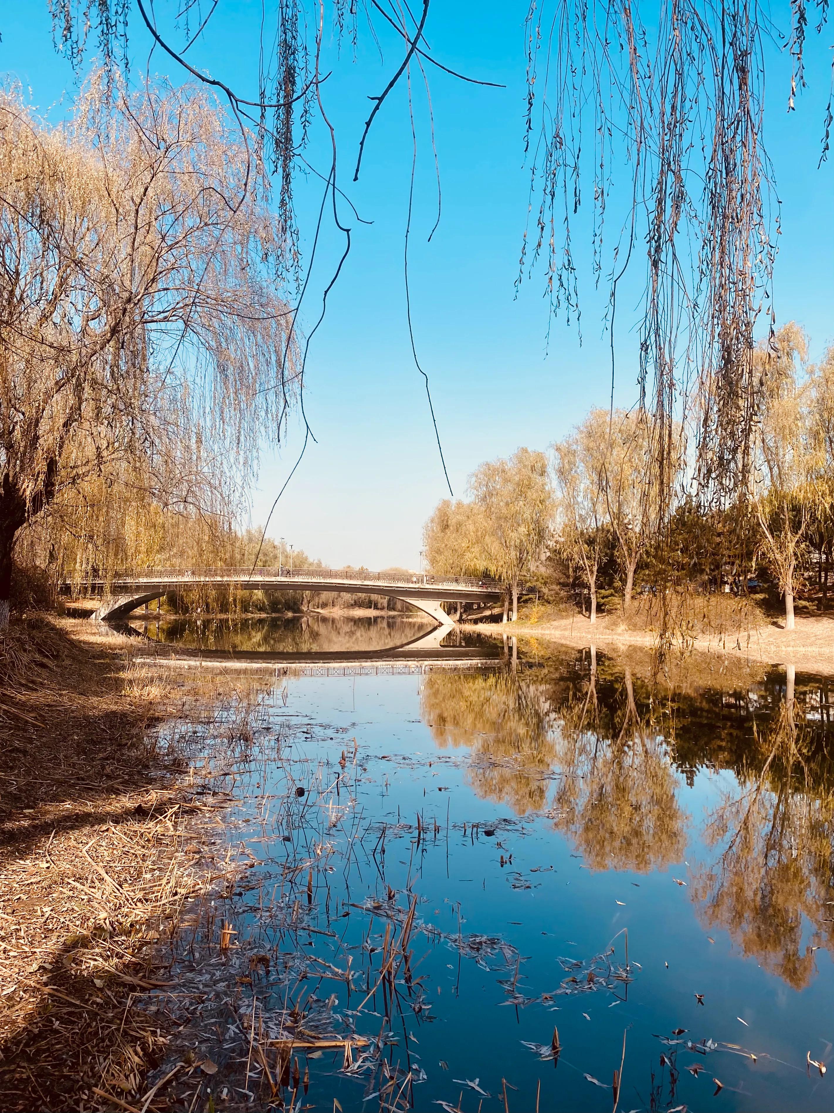 奥森游玩攻略,奥森亲子游玩