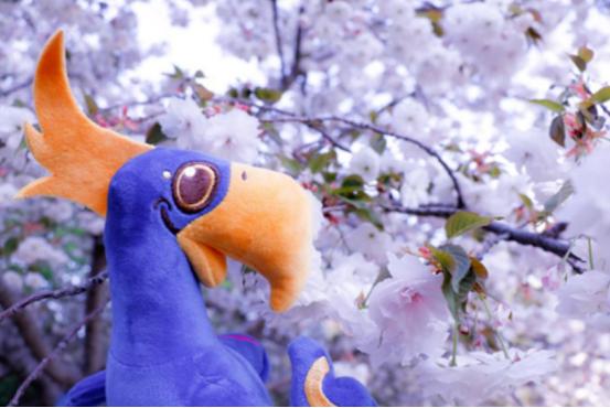 这所高校:受周总理亲切关怀,开创多个第一,多位“外交名将”都从此走出!