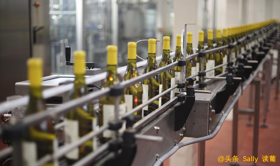 红酒在酒庄经历了什么?争议如此大?朱广权式幽默告诉你