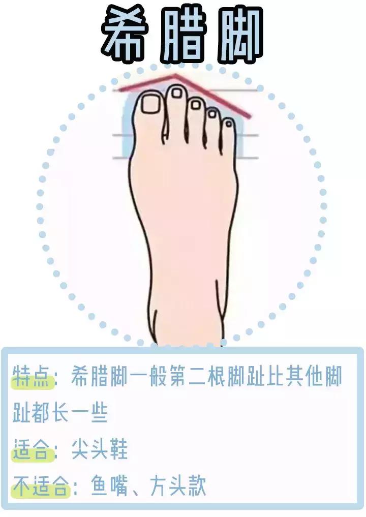 三种脚型怎么选鞋子,三种脚型图解大全
