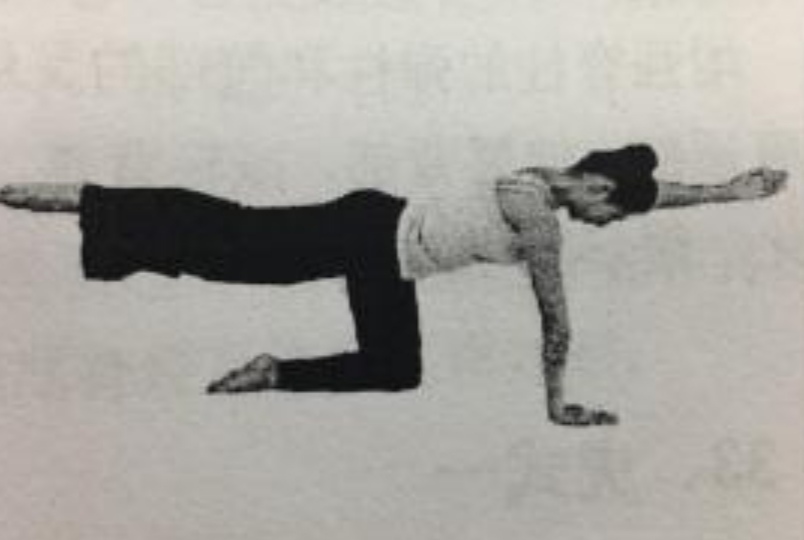 瑜伽如何练腰背部,练瑜伽缓解腰肌损伤