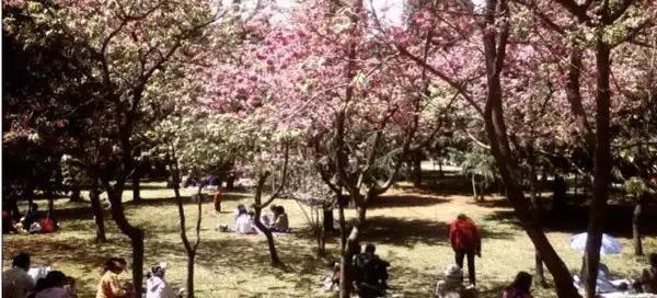 五一小长假昆明周边露营地点推荐,昆明周边户外露营游