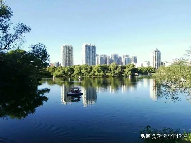 儿子和女婿的区别动画视频,儿子与女婿为什么差别就这么大