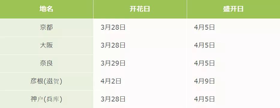 樱花季日本小众赏樱之旅,看樱花不知道去哪十大赏樱圣地