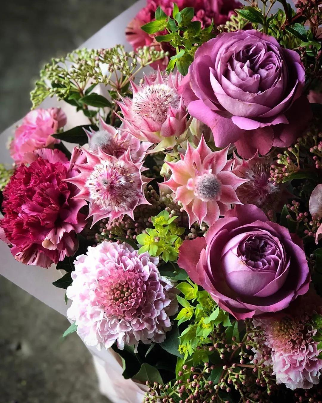 2019真实鲜花图片,2023鲜花爆款图文