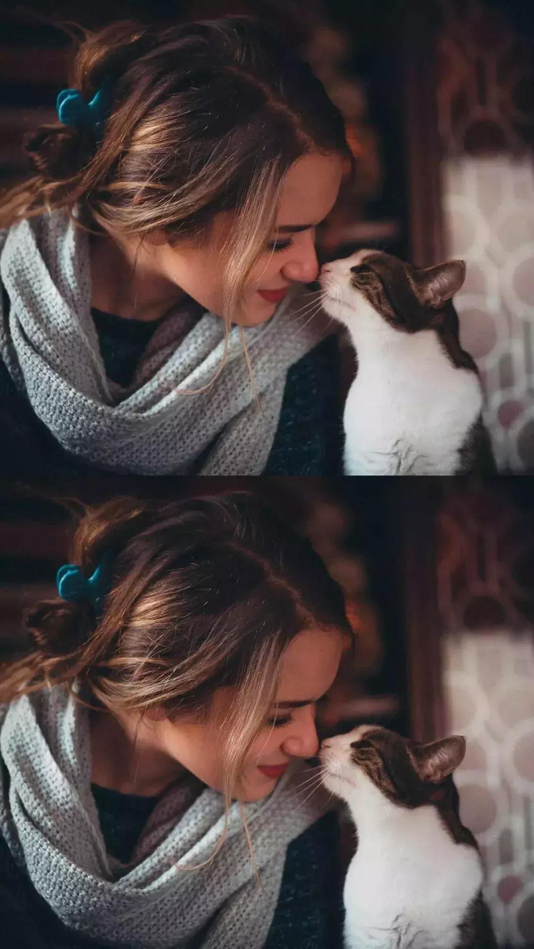 好看的iphone壁纸推荐,iphone13壁纸4k全面屏风景