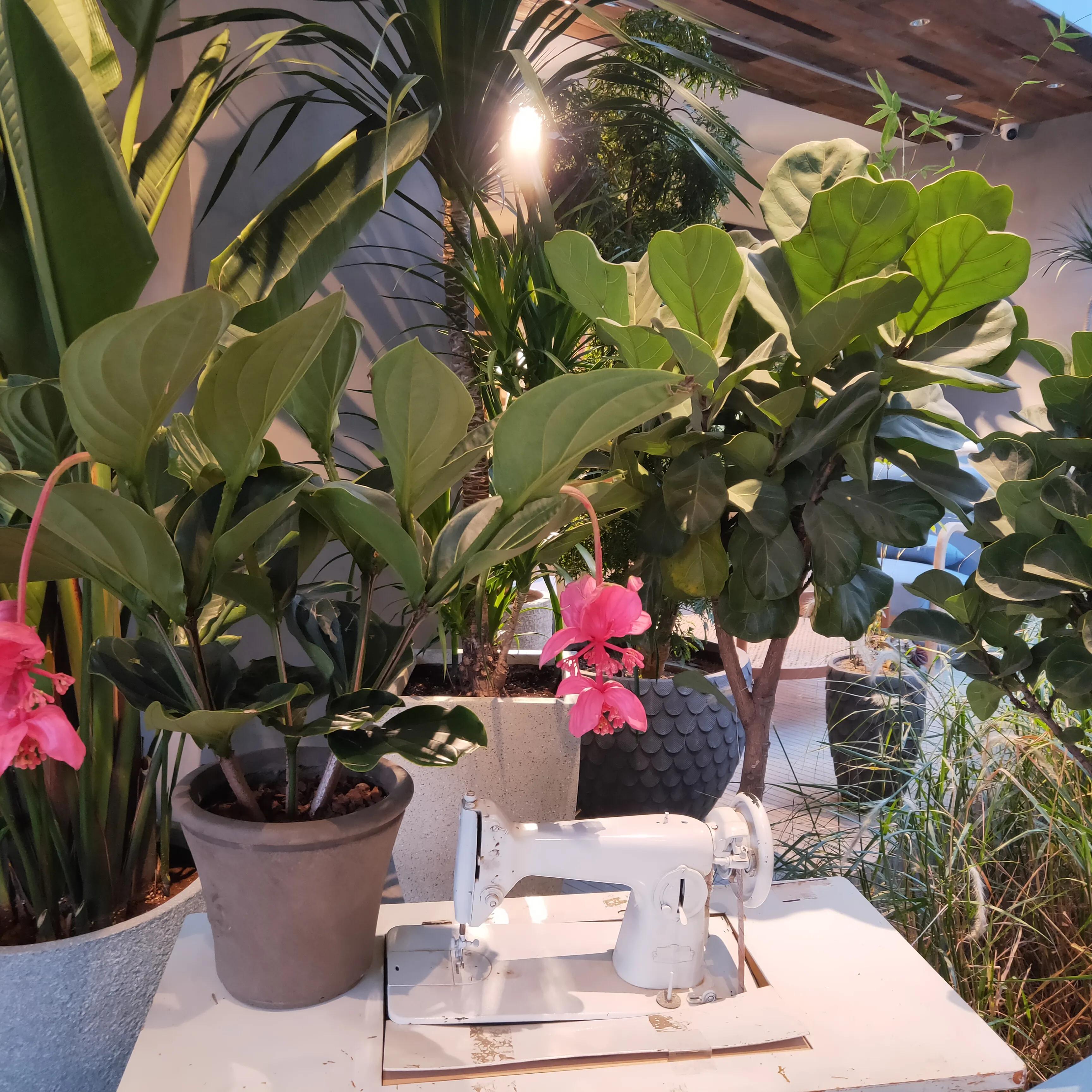 联发华美空间让你爱上厦门的又一个理由穿梭复古潮流领地