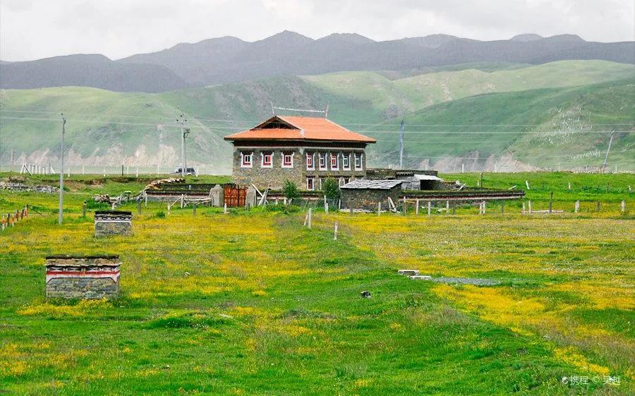 3月川西惊艳了所有人,千树万树梨花开川西
