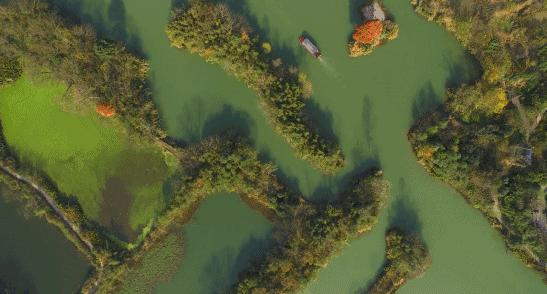 倒计时1h捡漏攻略!阿丽拉、悦榕庄、嘉佩乐…酒店控必囤清单在这