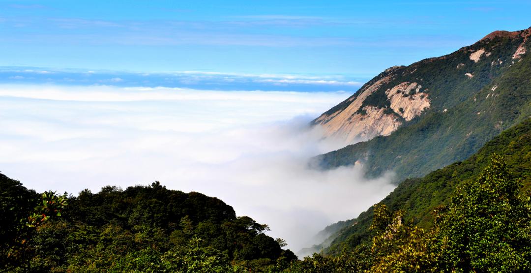 中国天然氧吧在惠州哪里,惠州大自然氧吧