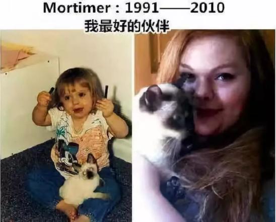 面对宠物的离去我们能做什么,怎么面对宠物离去的悲伤