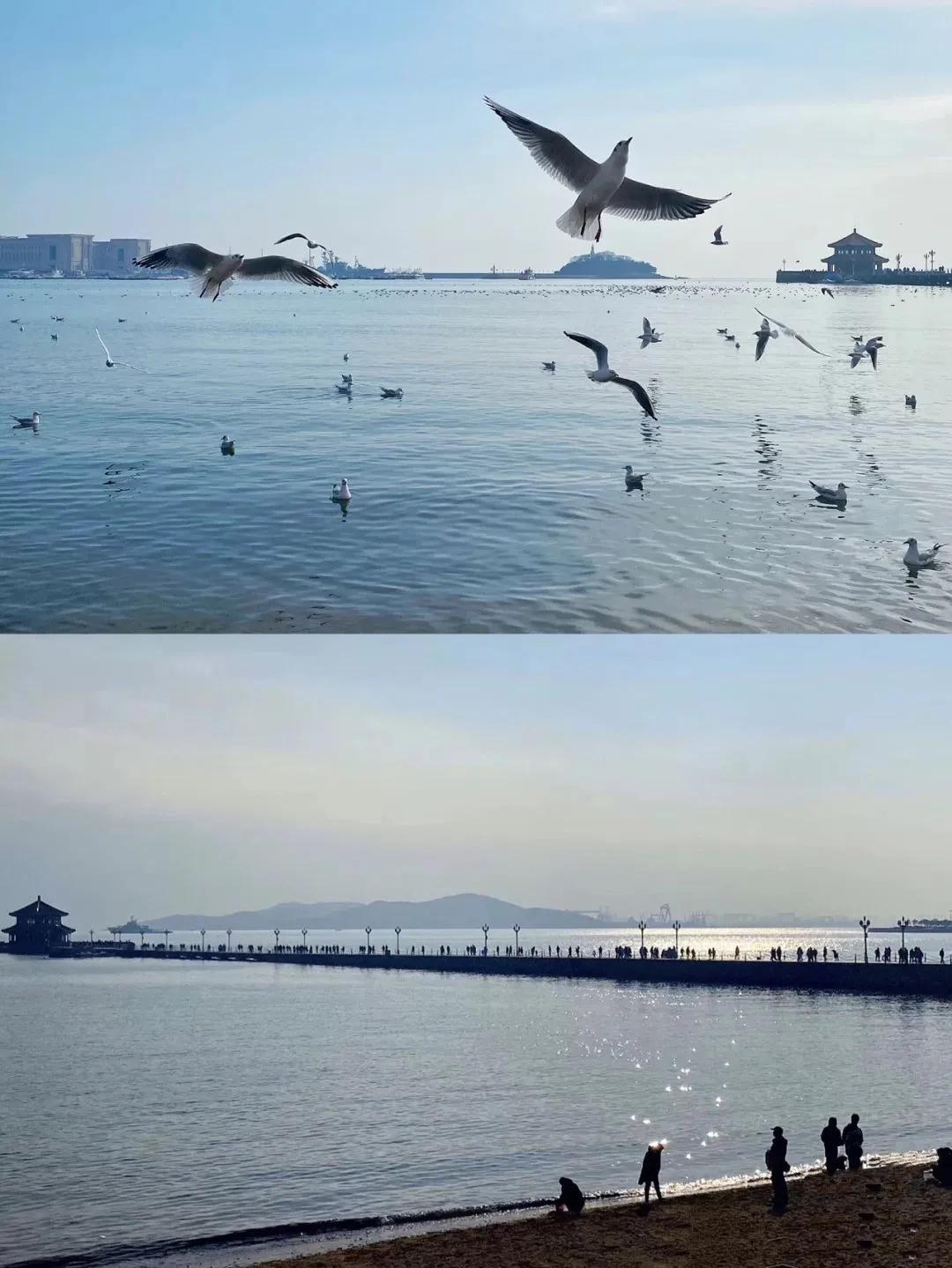 又一条最美自驾线路,又一条绝美进藏自驾公路