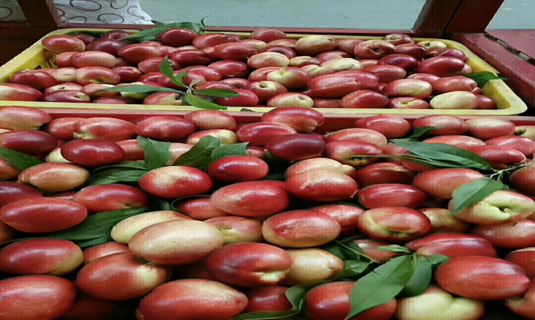 新疆石河子市的蟠桃图片,新疆石河子蟠桃