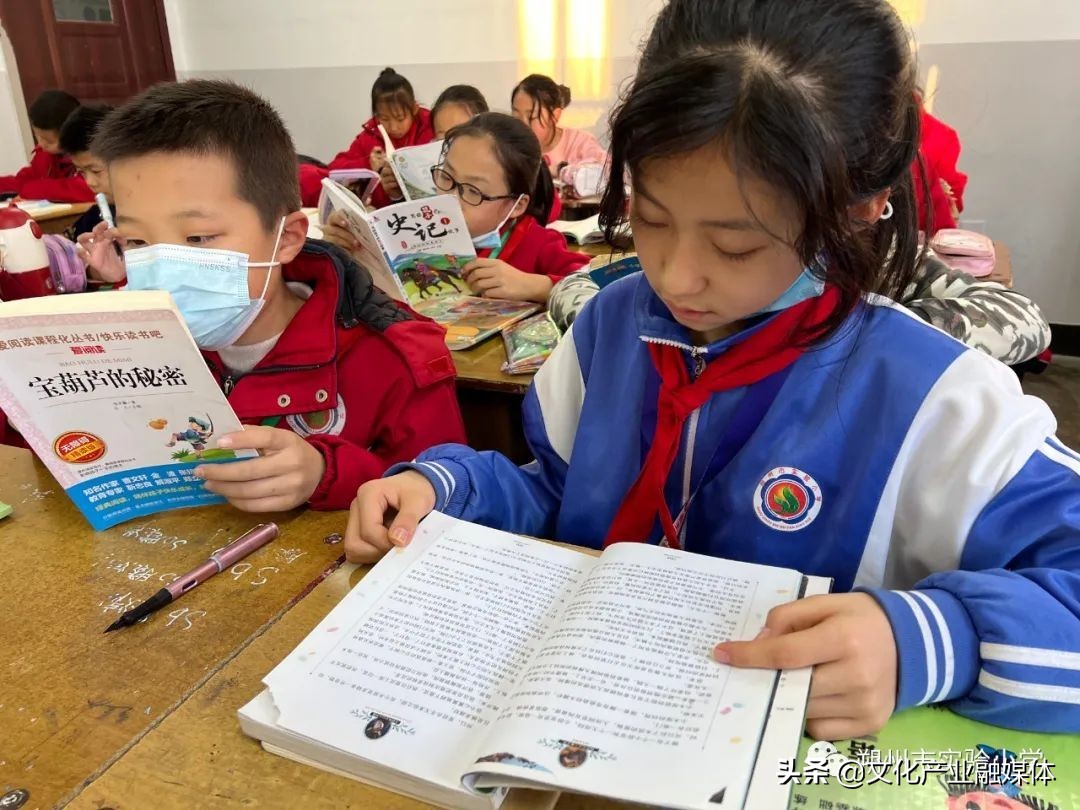 小学双减政策下的高效课堂,小学双减课堂教学提质增效