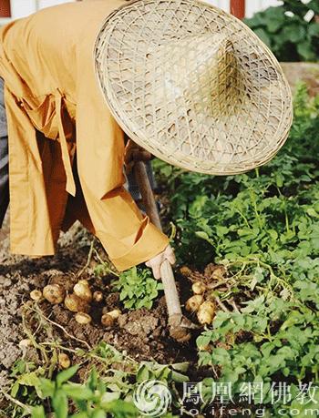五祖寺和五祖禅院有什么区别,农禅合一起源