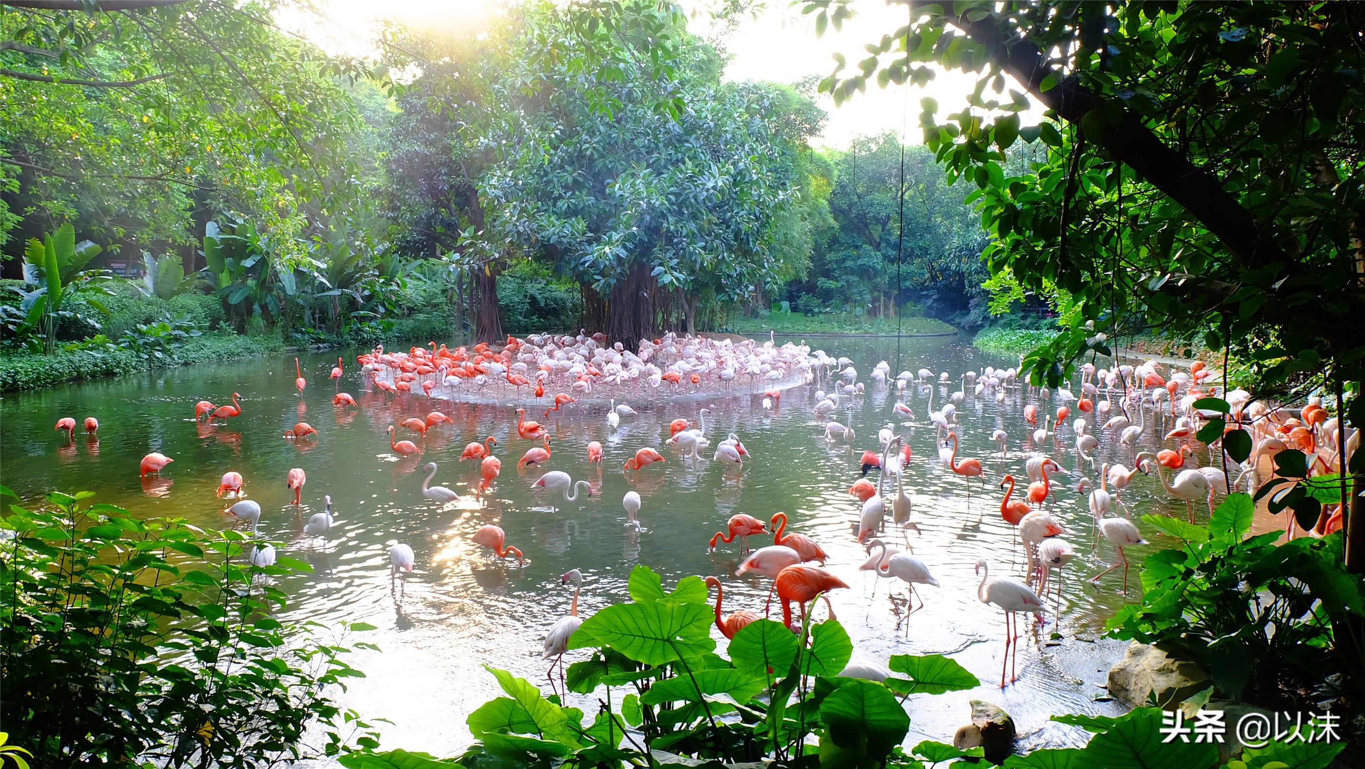 长隆野生动物世界游玩攻略,长隆野生动物世界带娃攻略