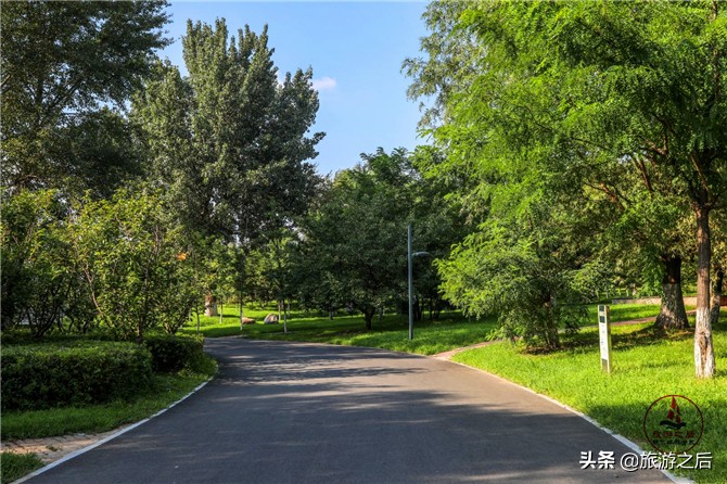 生态岛森林旅游,中国最美森林岛