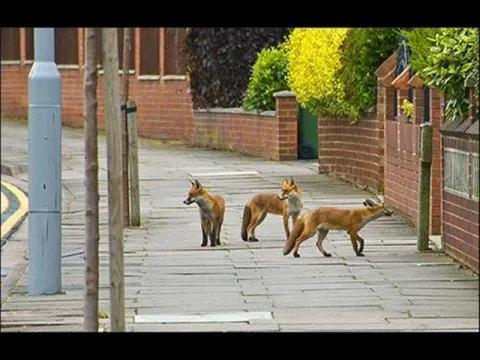 今年如何去英国读书 (来英国读书才知道的事)