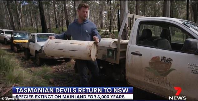 37岁雷神近照,雷神超级英雄视频