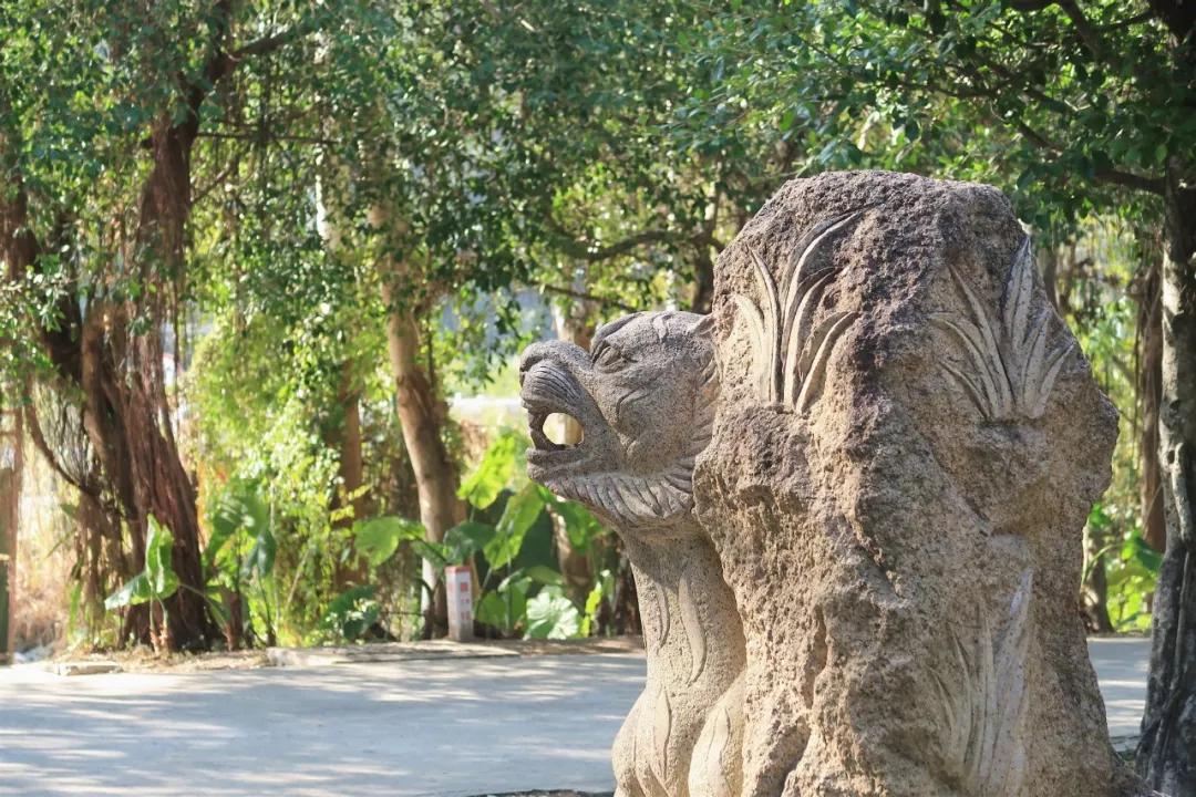 在动物园散步才是正经事|暴走福州