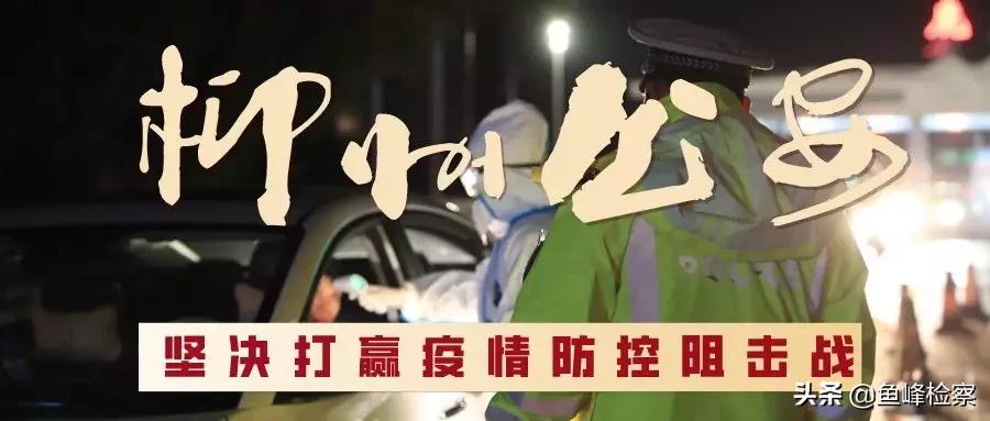 柳州警方打击诈骗案,柳州警方破获一起特大诈骗案